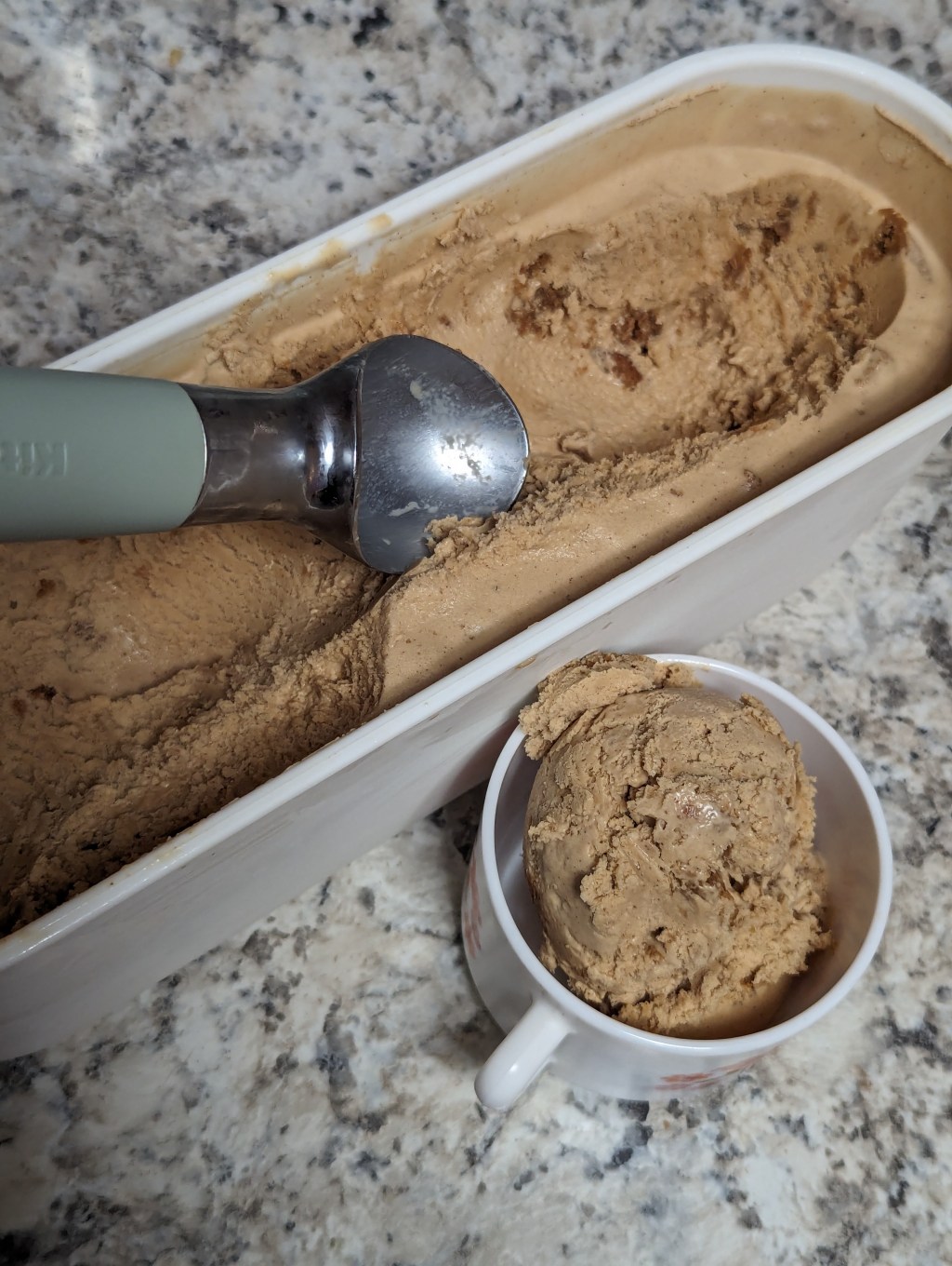 Gingerbread Cookie Ice Cream